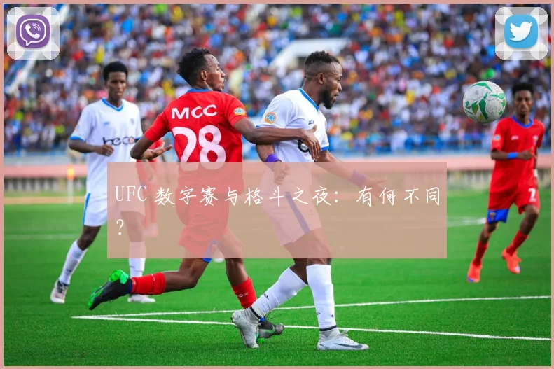 UFC 数字赛与格斗之夜：有何不同？